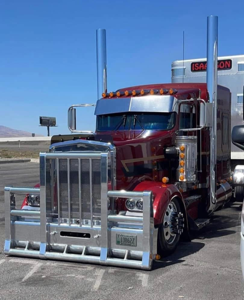 Kenworth W9L Bugshield
