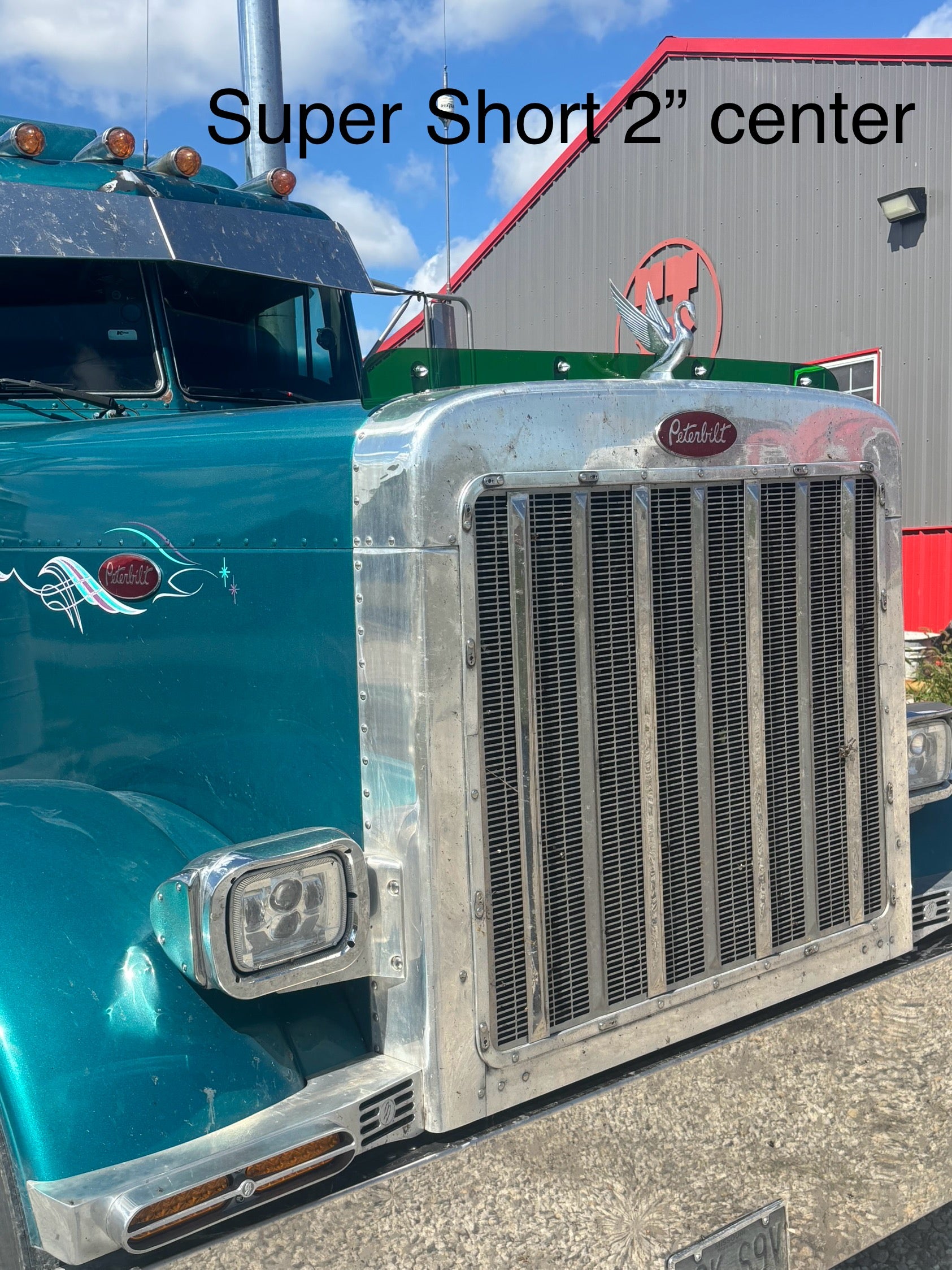 Peterbilt 379 Bugshield