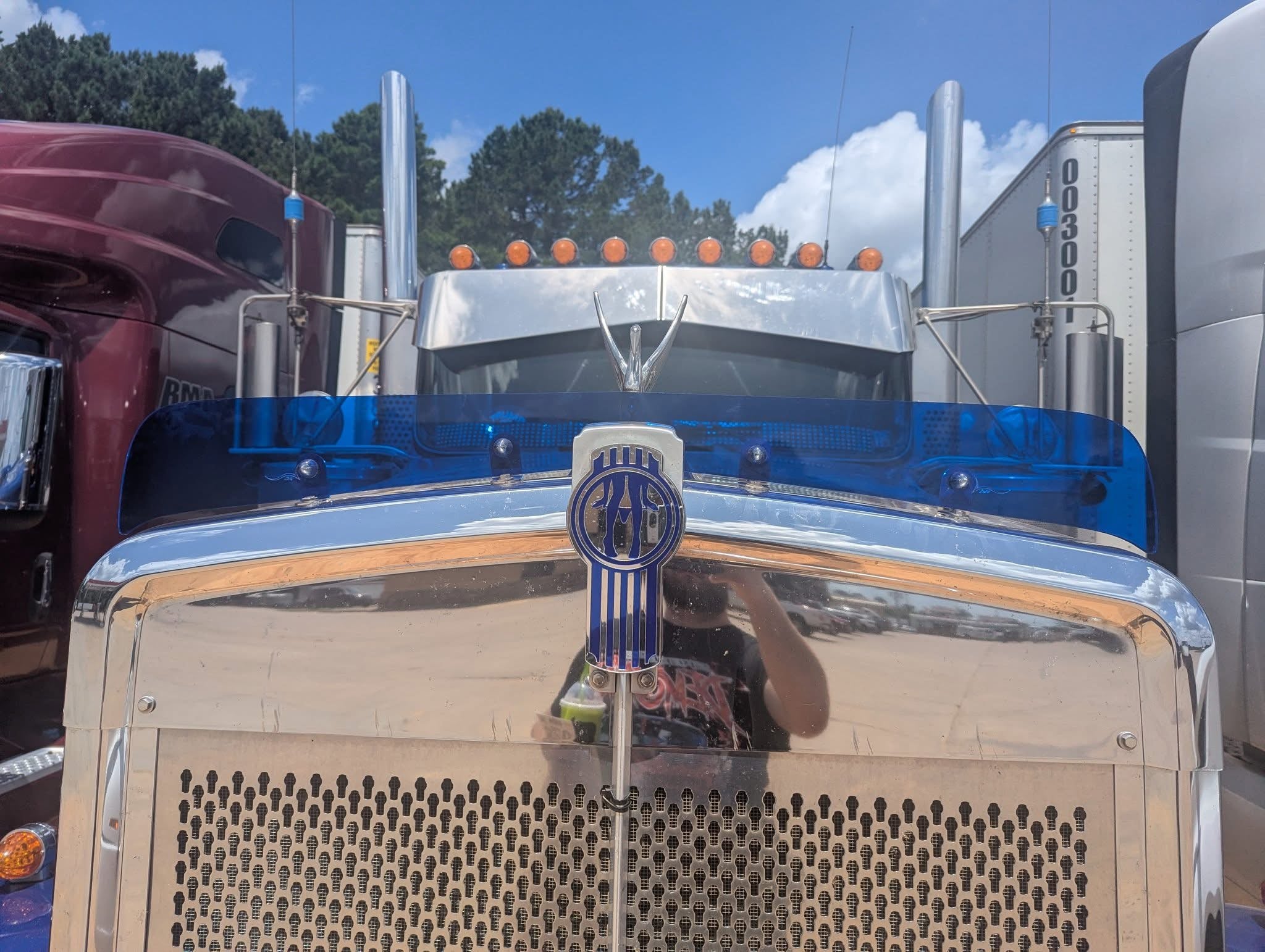 Kenworth W9L Bugshield