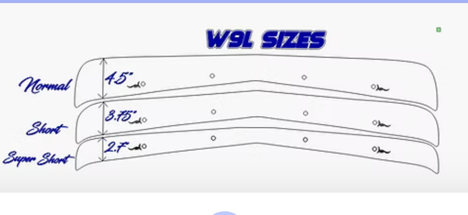Kenworth W9L Bugshield