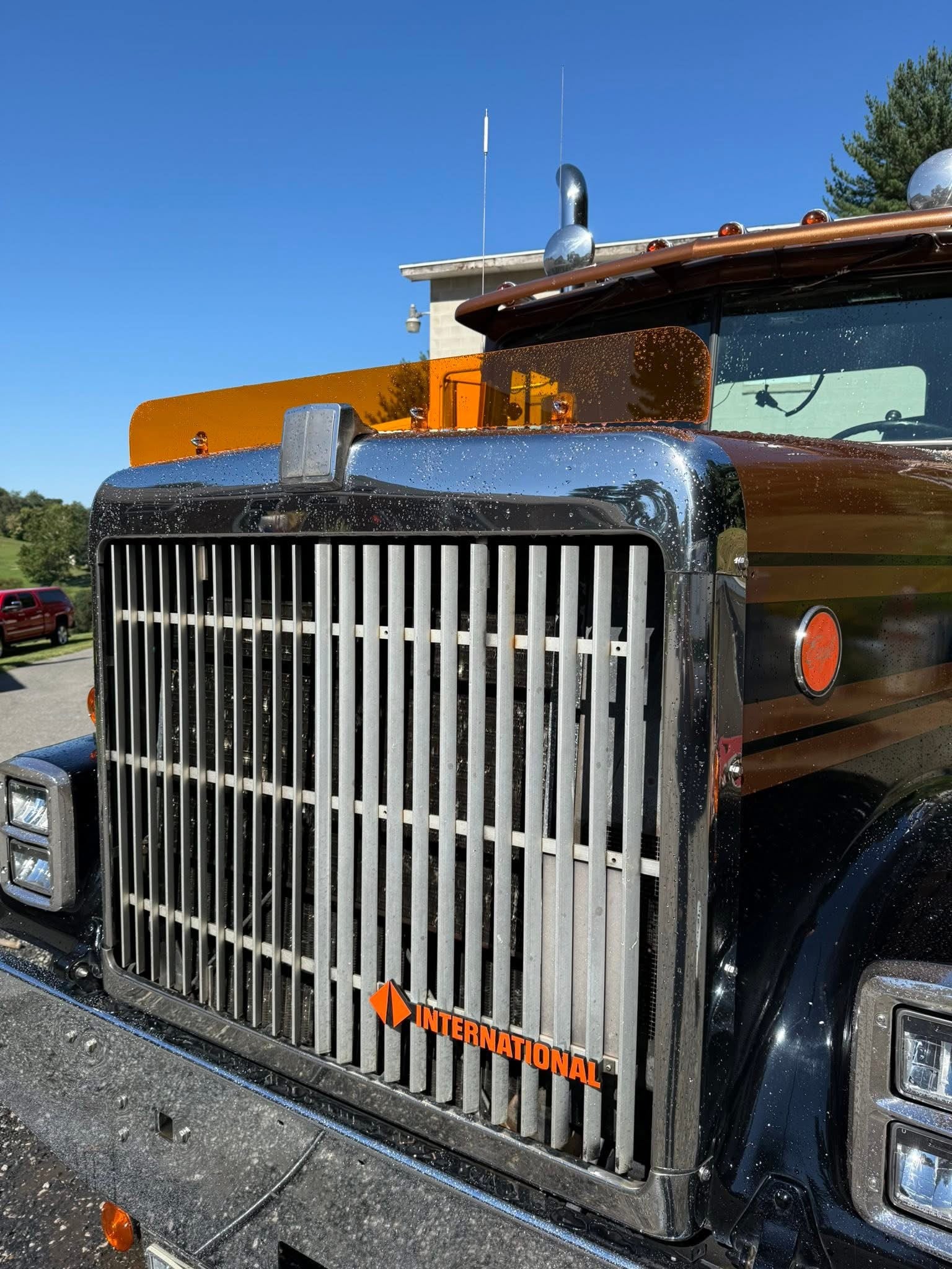 International 9300/9370 1985-2000 Models Bugshield