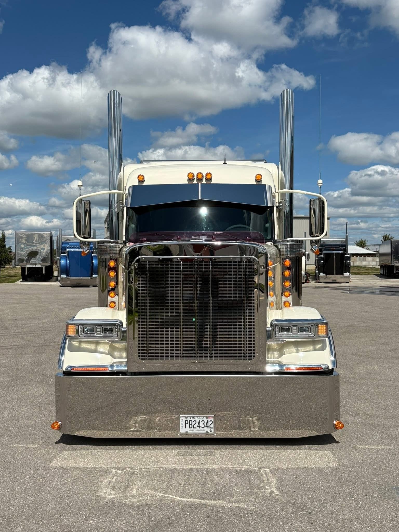 Peterbilt 589 Bugshield