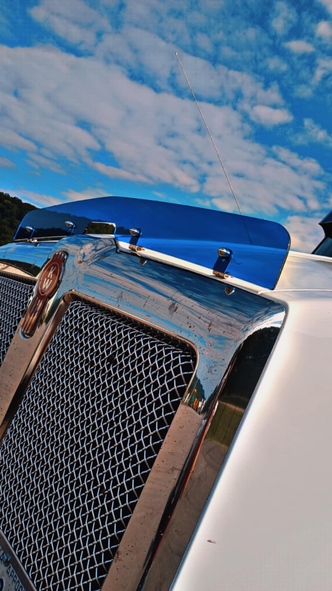 Kenworth T880 2012+ Bugshield