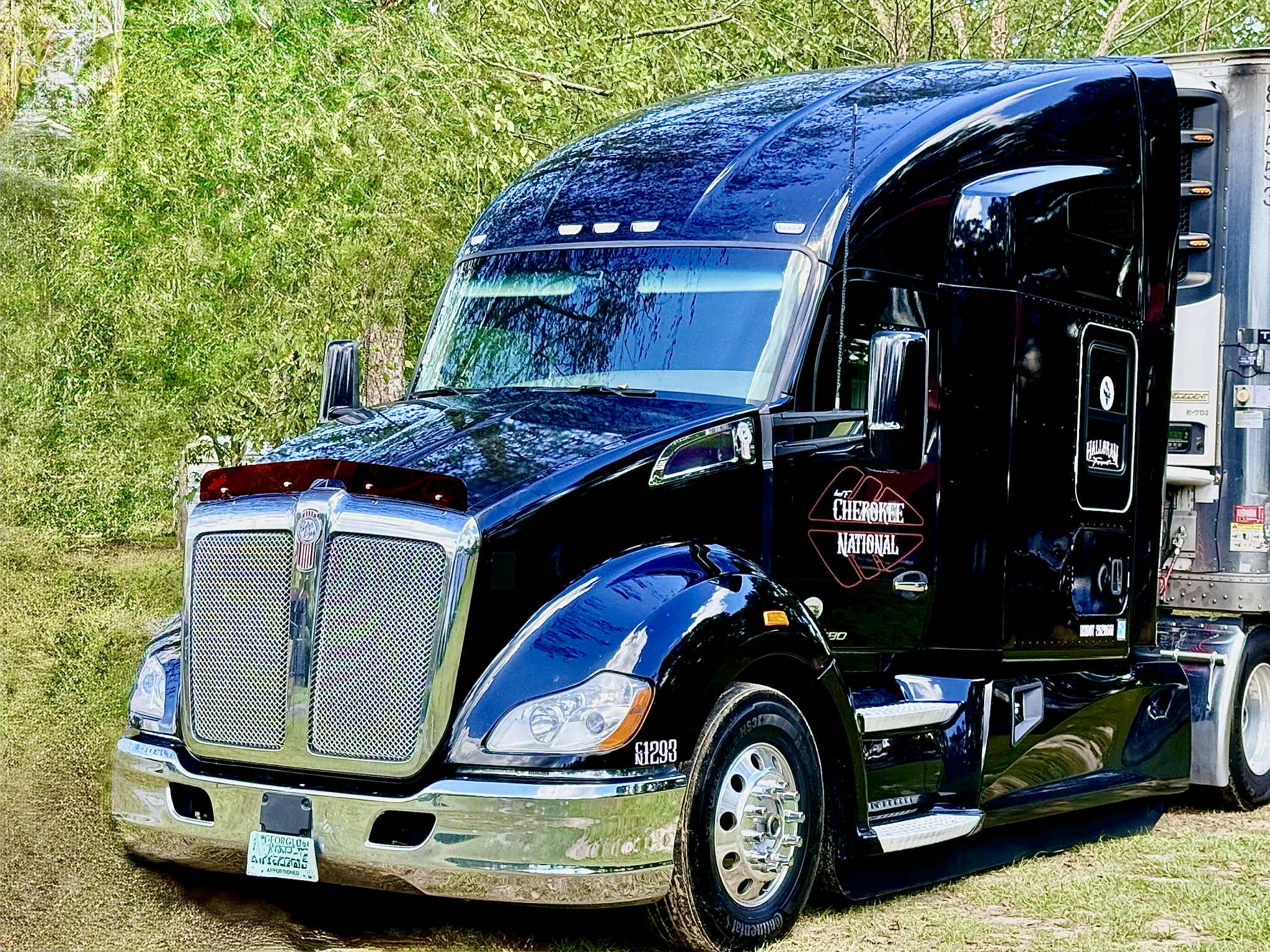 Kenworth T680 2013-2021 Old Gen Bugshield