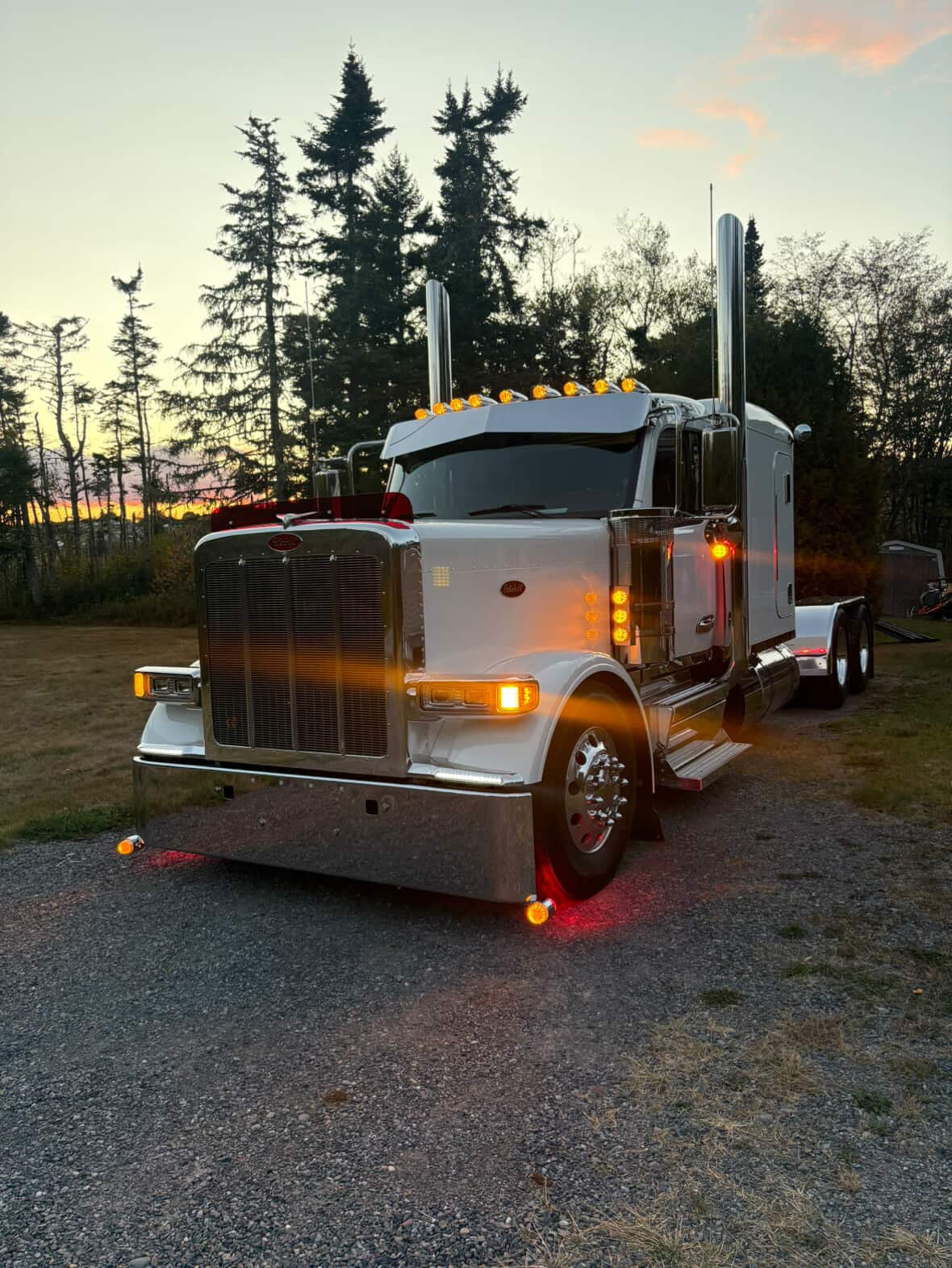 Peterbilt 589 Bugshield