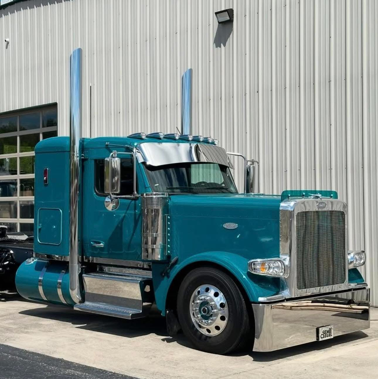 Peterbilt 589 Bugshield