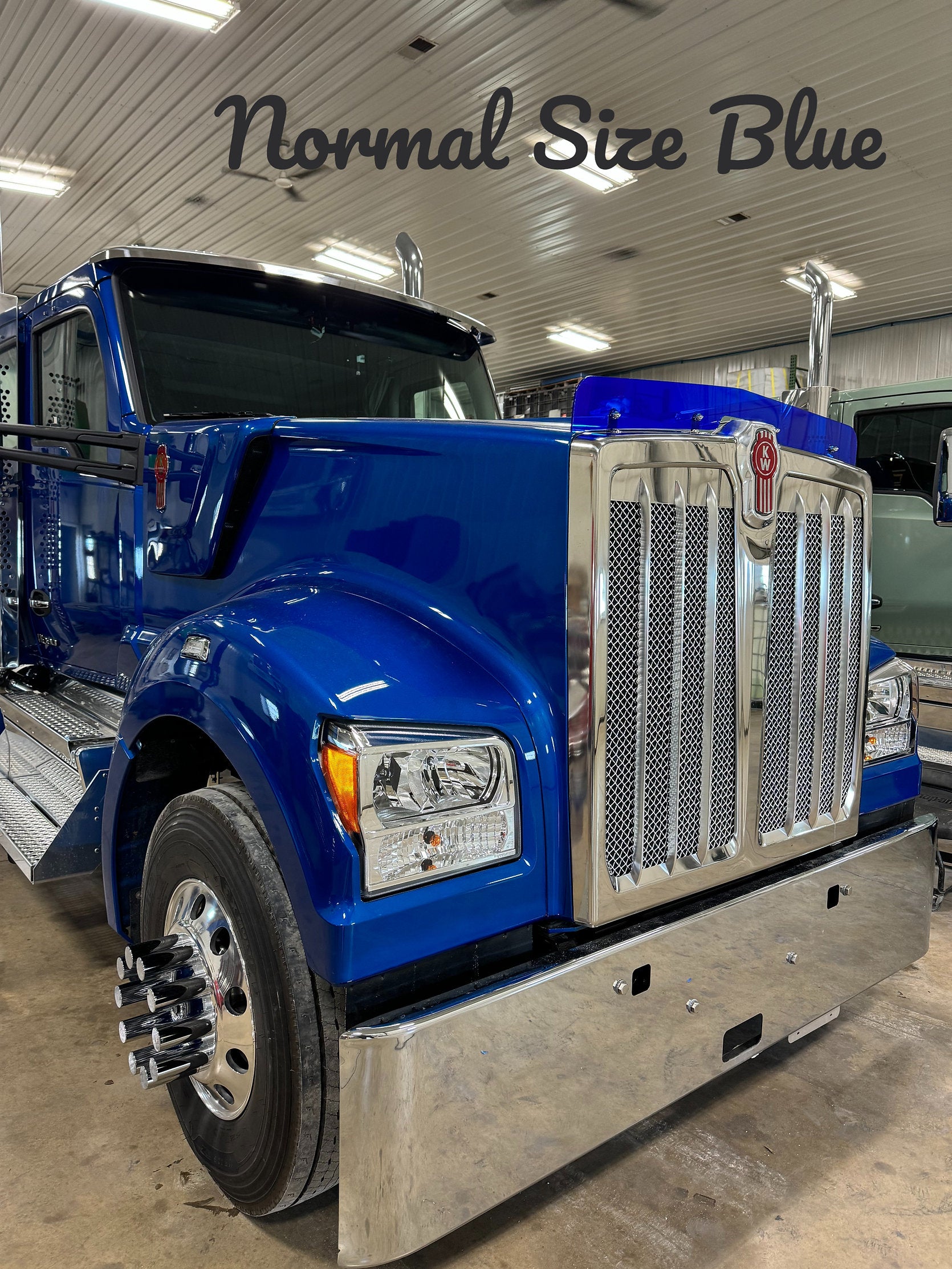Kenworth 990 Bugshield