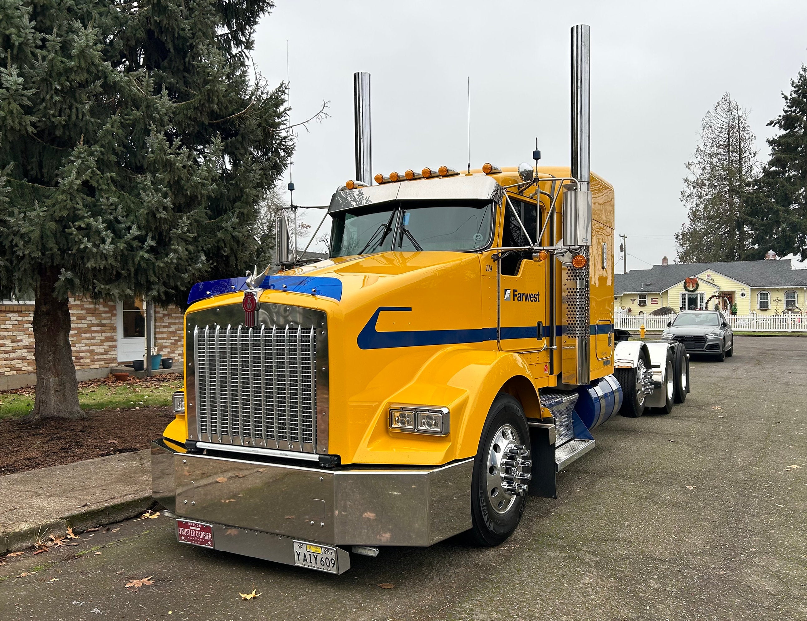 Kenworth T800 Bugshield