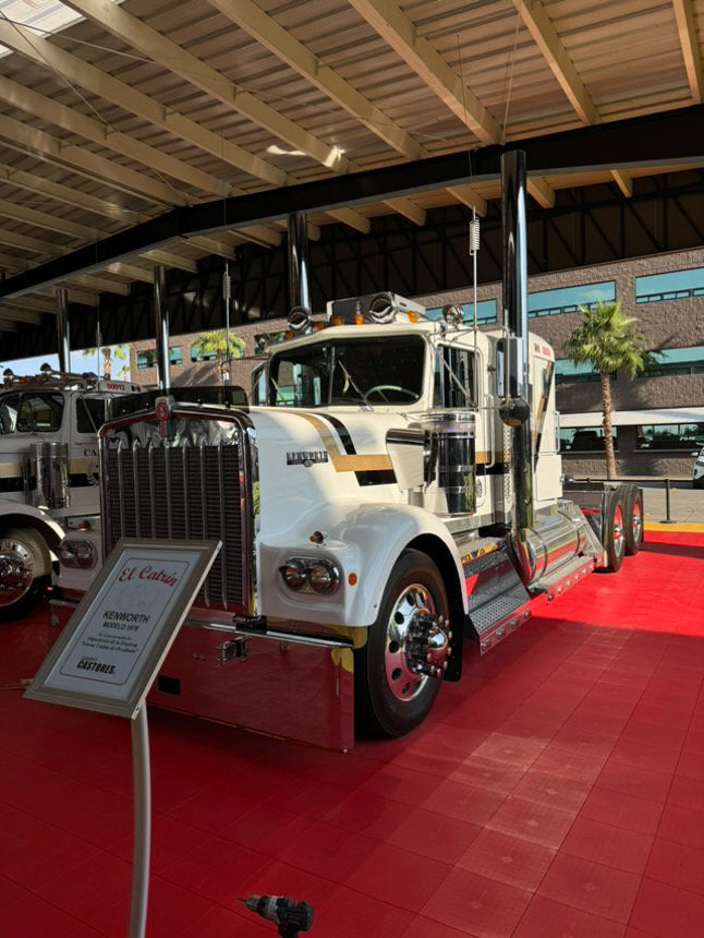 Kenworth W9A Bugshield
