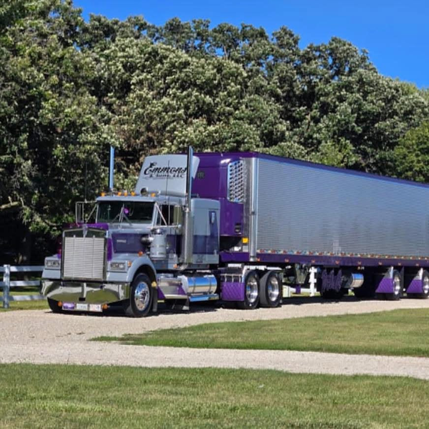 Kenworth W9B Bugshield