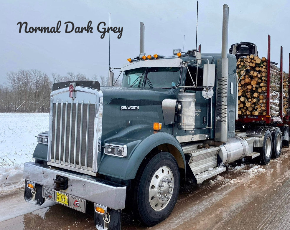 Kenworth W9B Bugshield