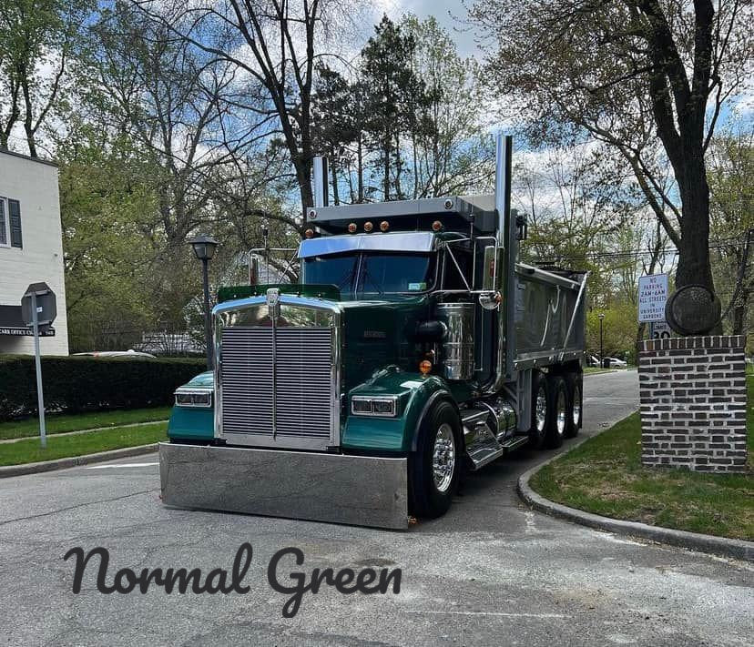 Kenworth W9B Bugshield