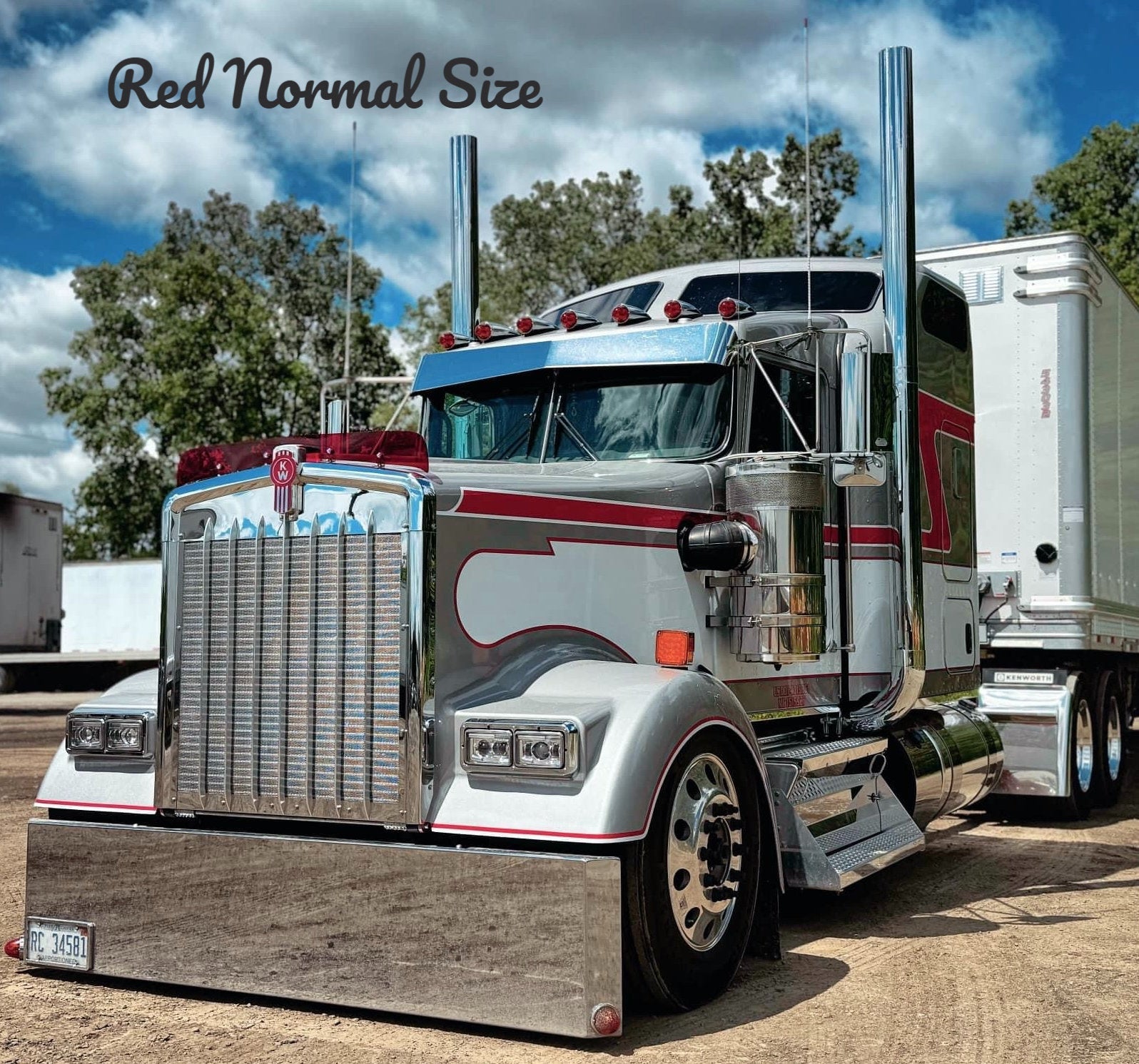 Kenworth W9L Bugshield