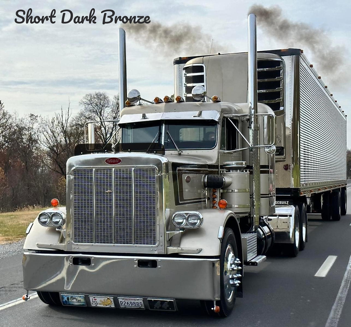Peterbilt 359 Bugshield