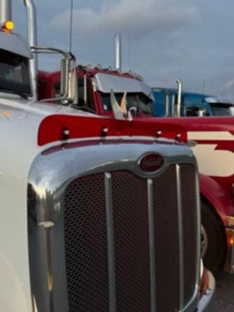 Peterbilt 384/386 Bugshield