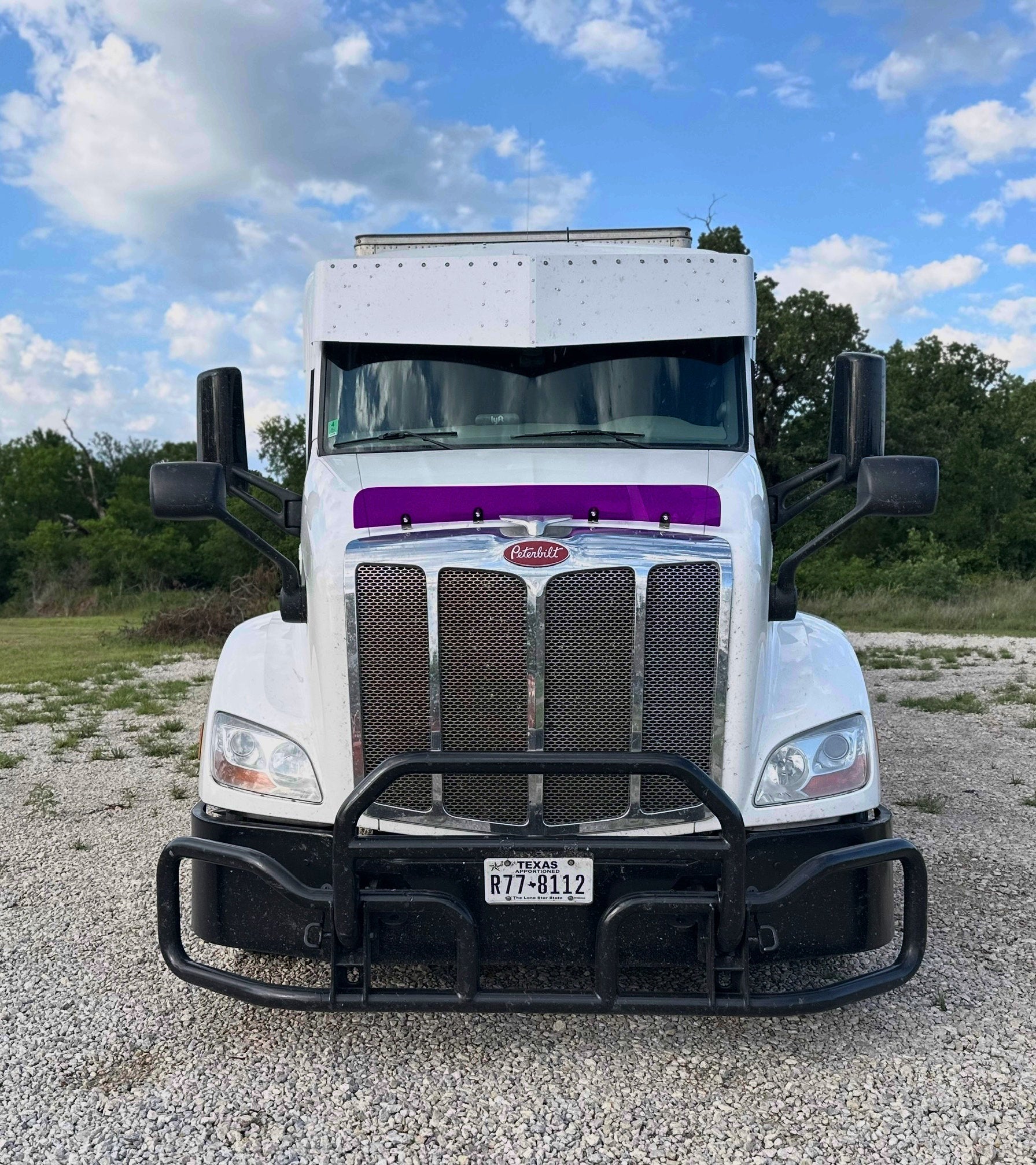 Peterbilt 579 Bugshield