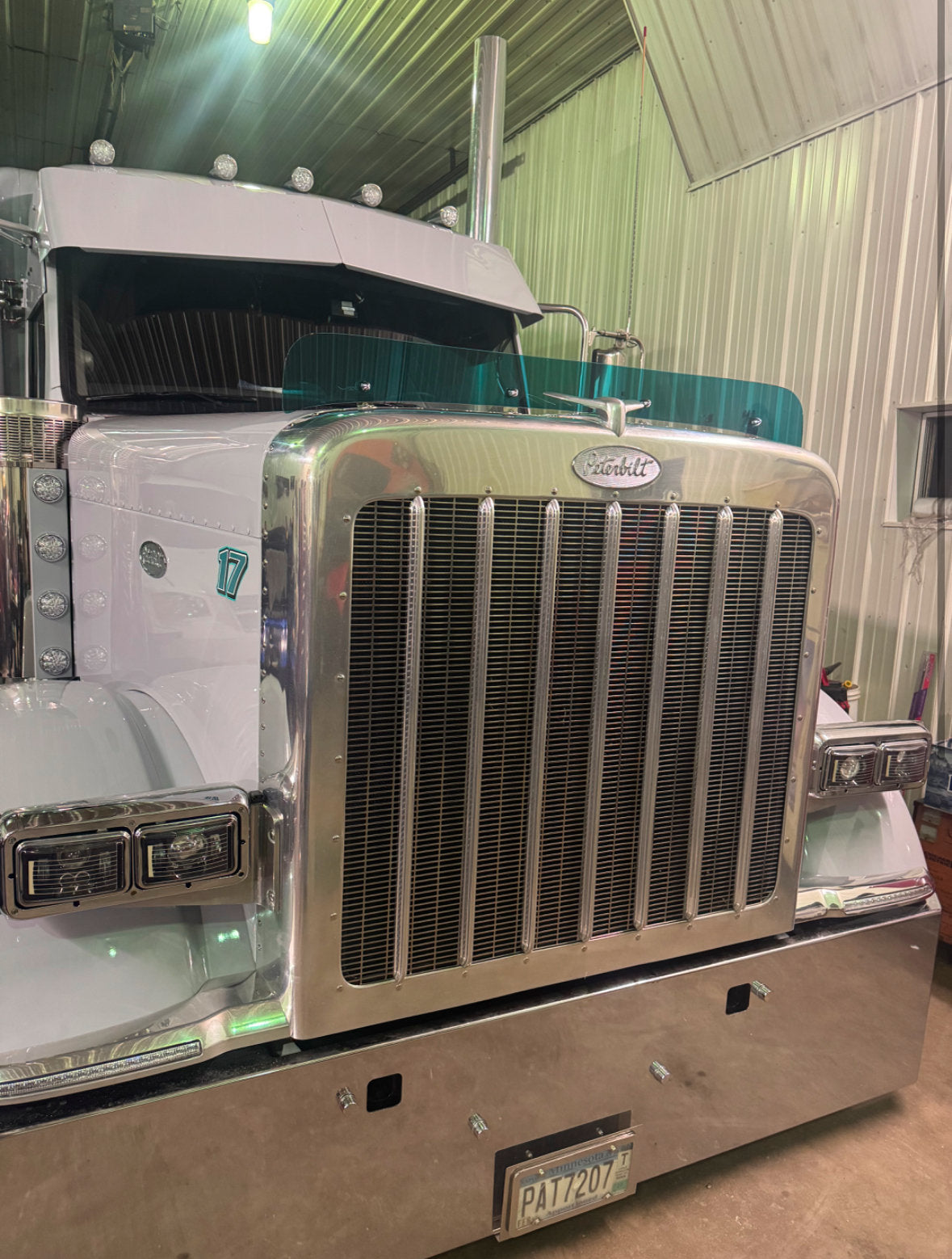 Peterbilt 589 Bugshield