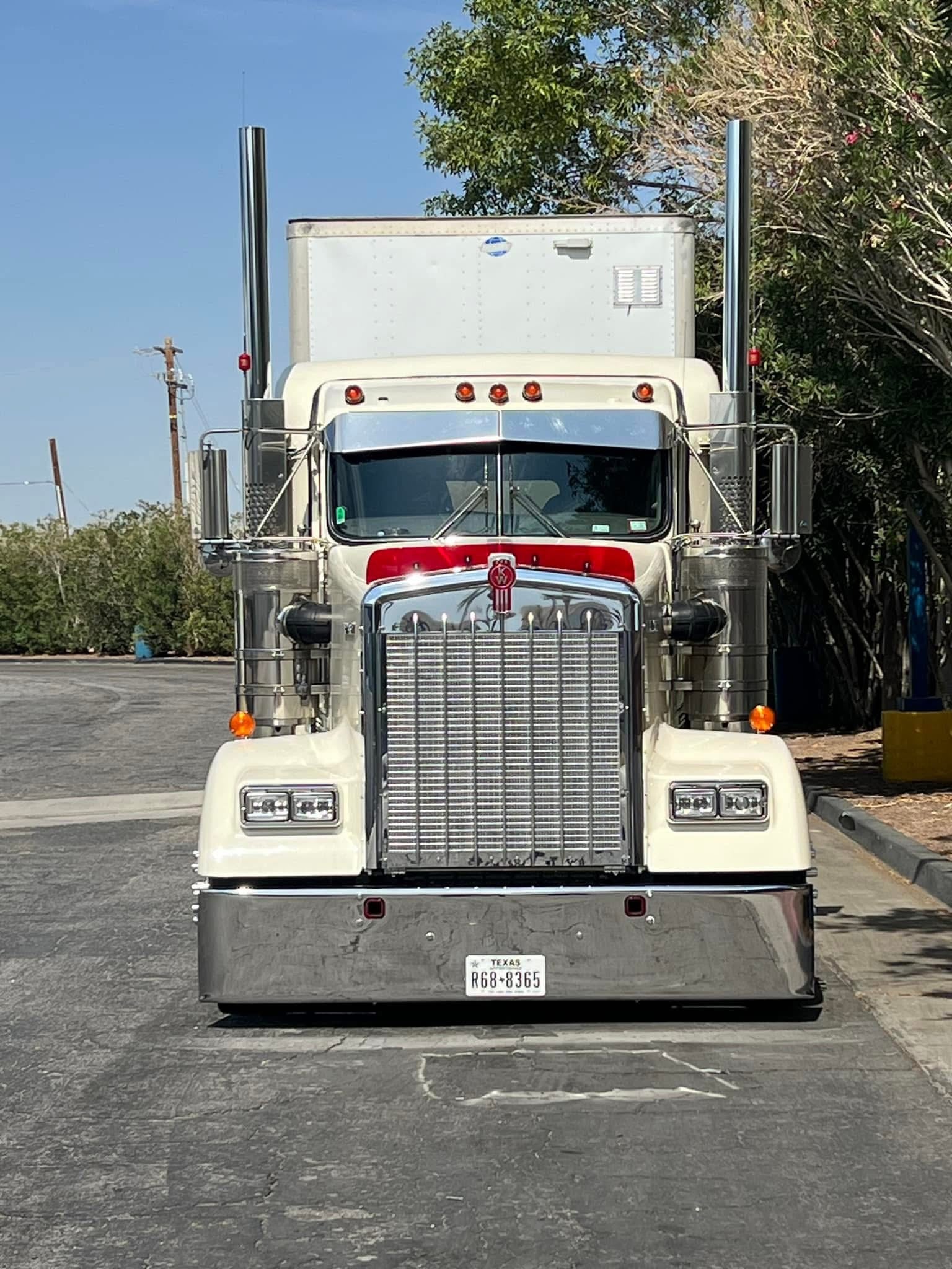 Kenworth W9L Bugshield