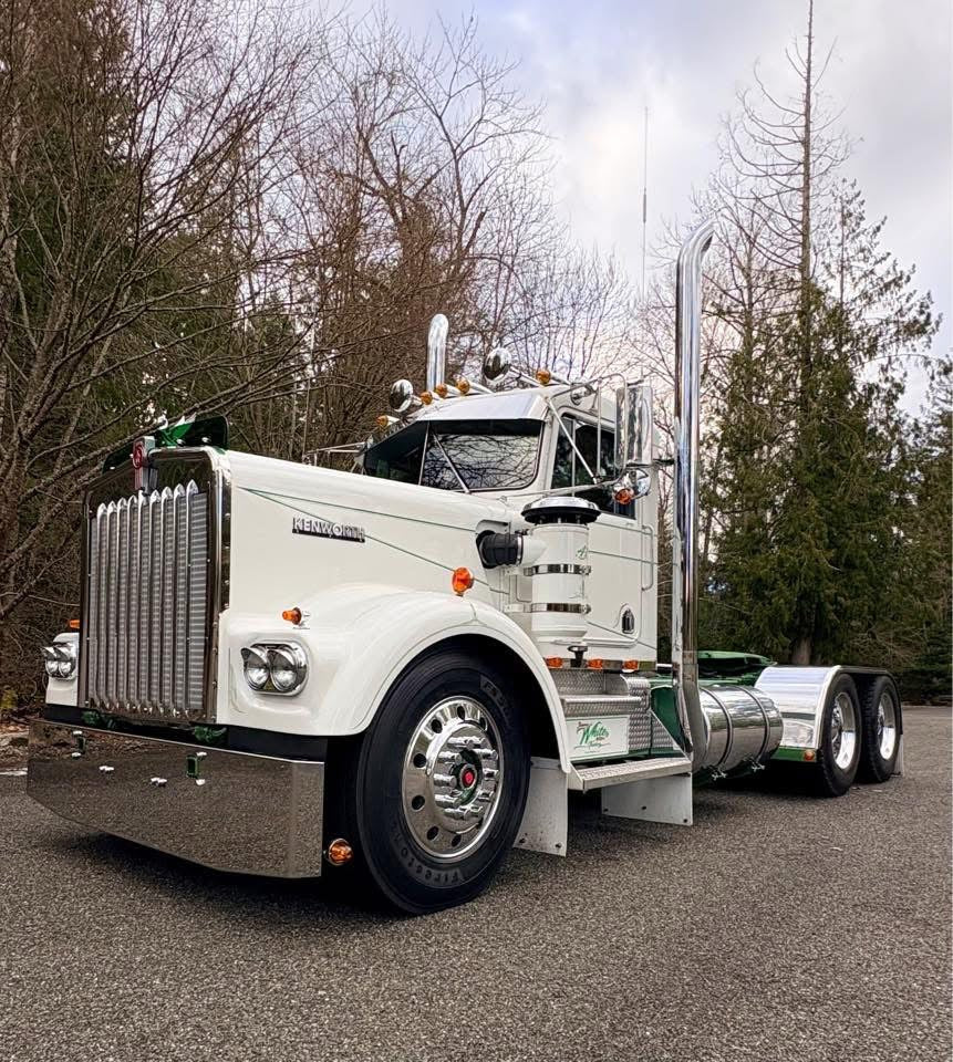 Kenworth W9A Bugshield