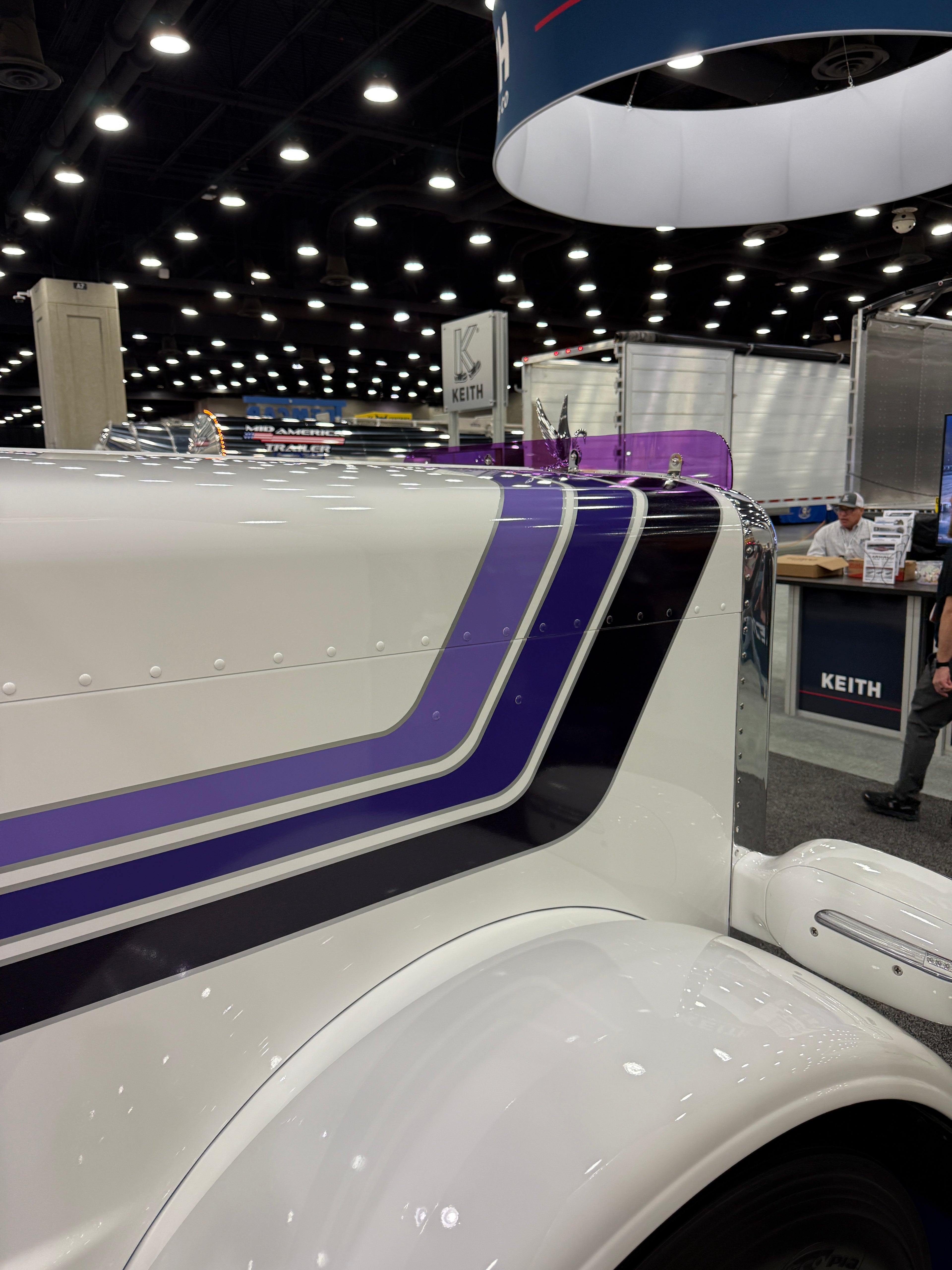 Peterbilt 389/388 Bug Shield