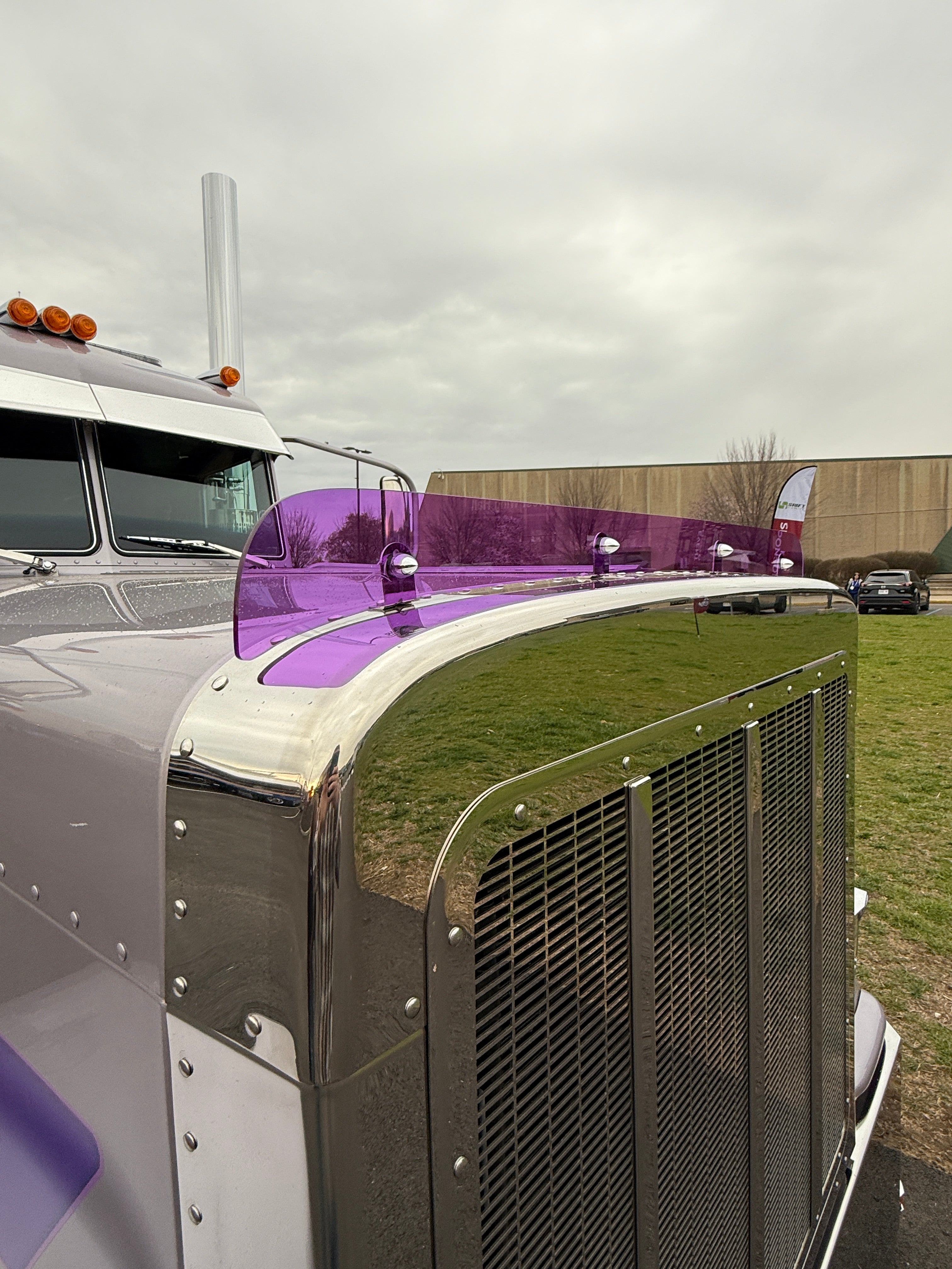 Peterbilt 389/388 Bug Shield