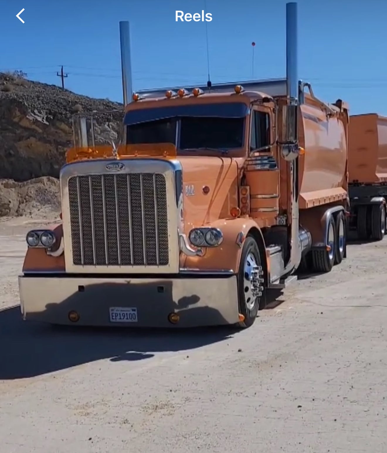 Peterbilt 389/388 Bug Shield
