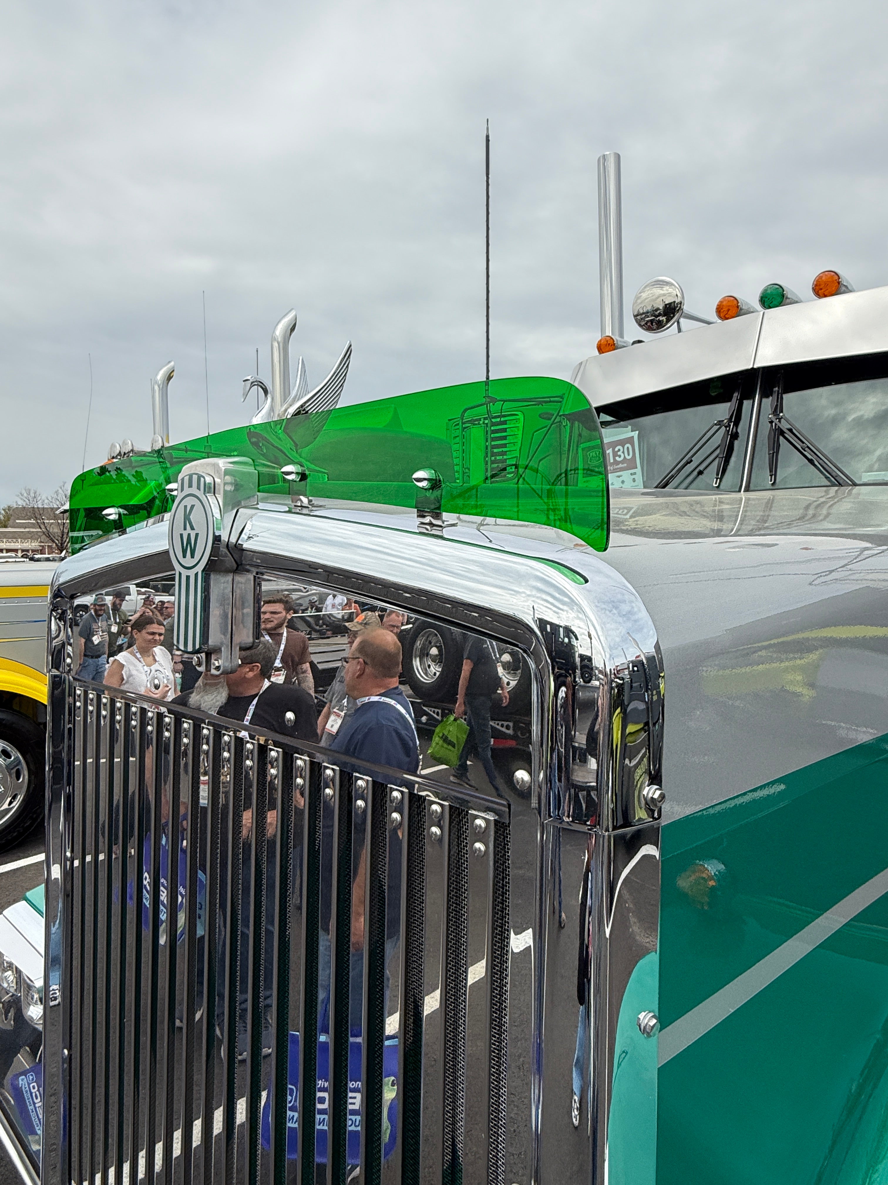 Kenworth W9L Bugshield