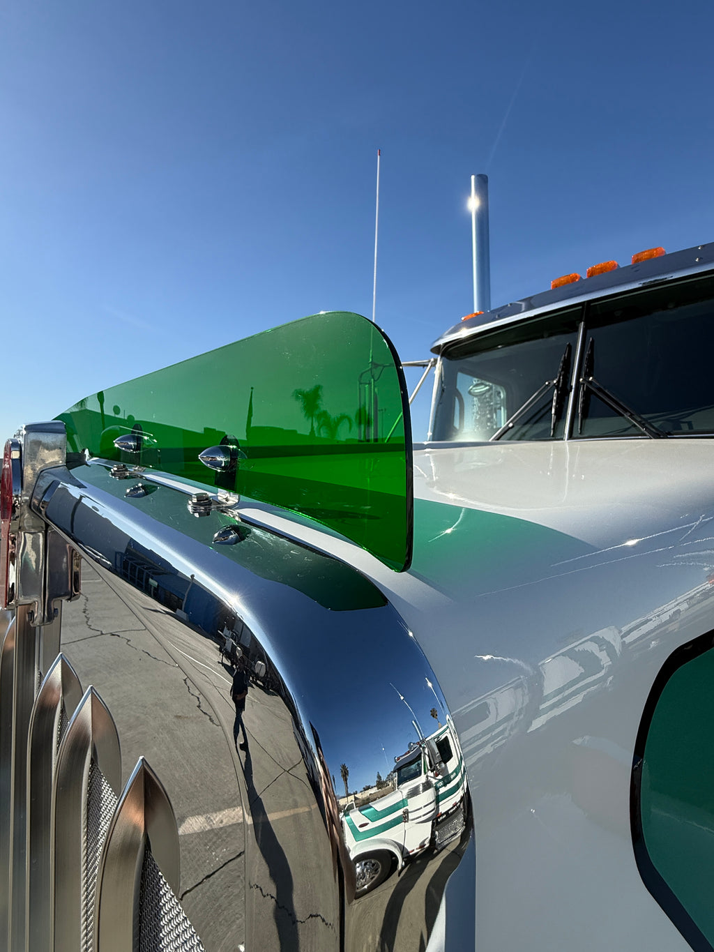 Kenworth W9B Bugshield