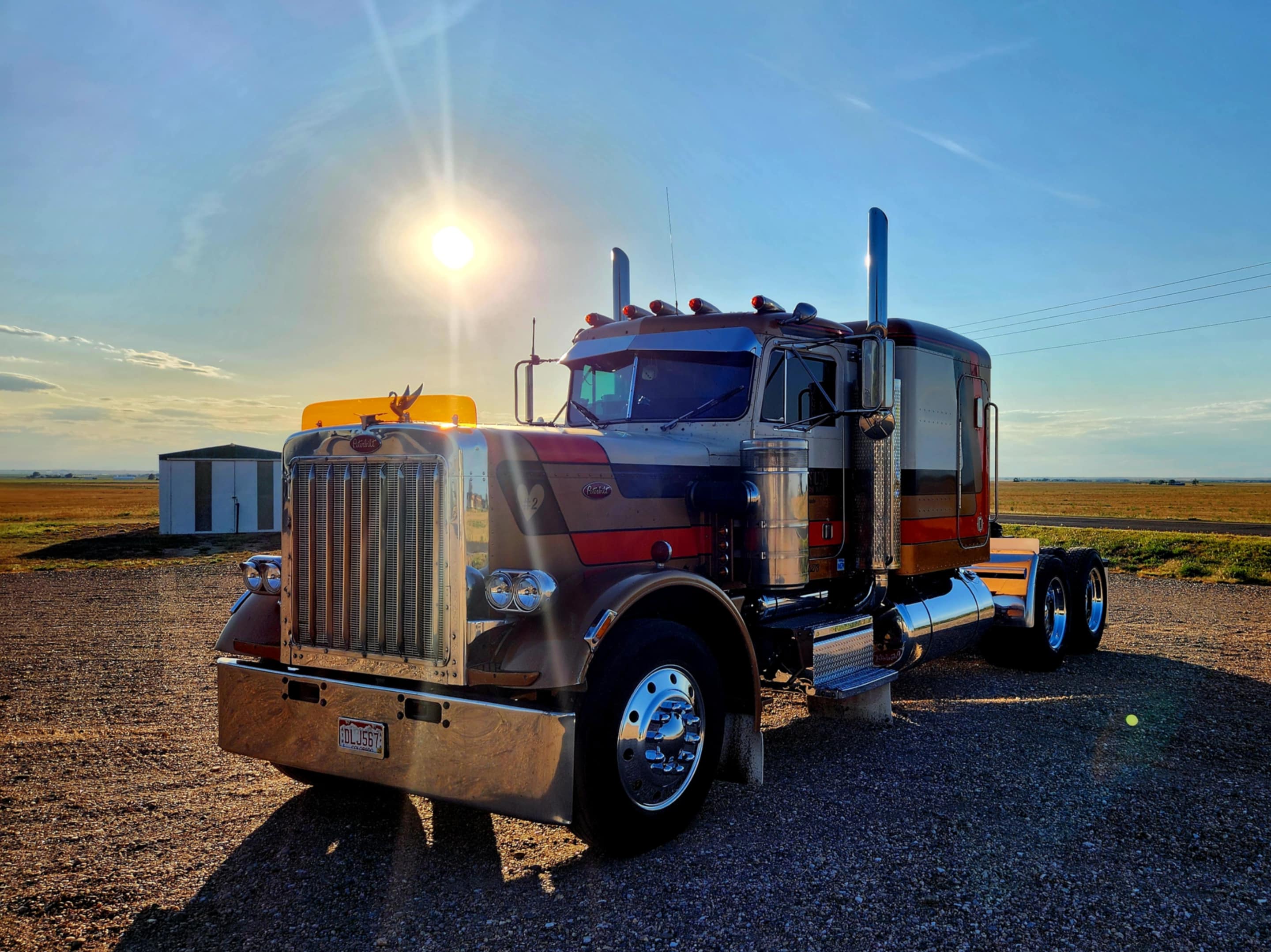 Peterbilt 359 Bugshield