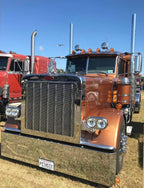 Peterbilt 379 Bugshield