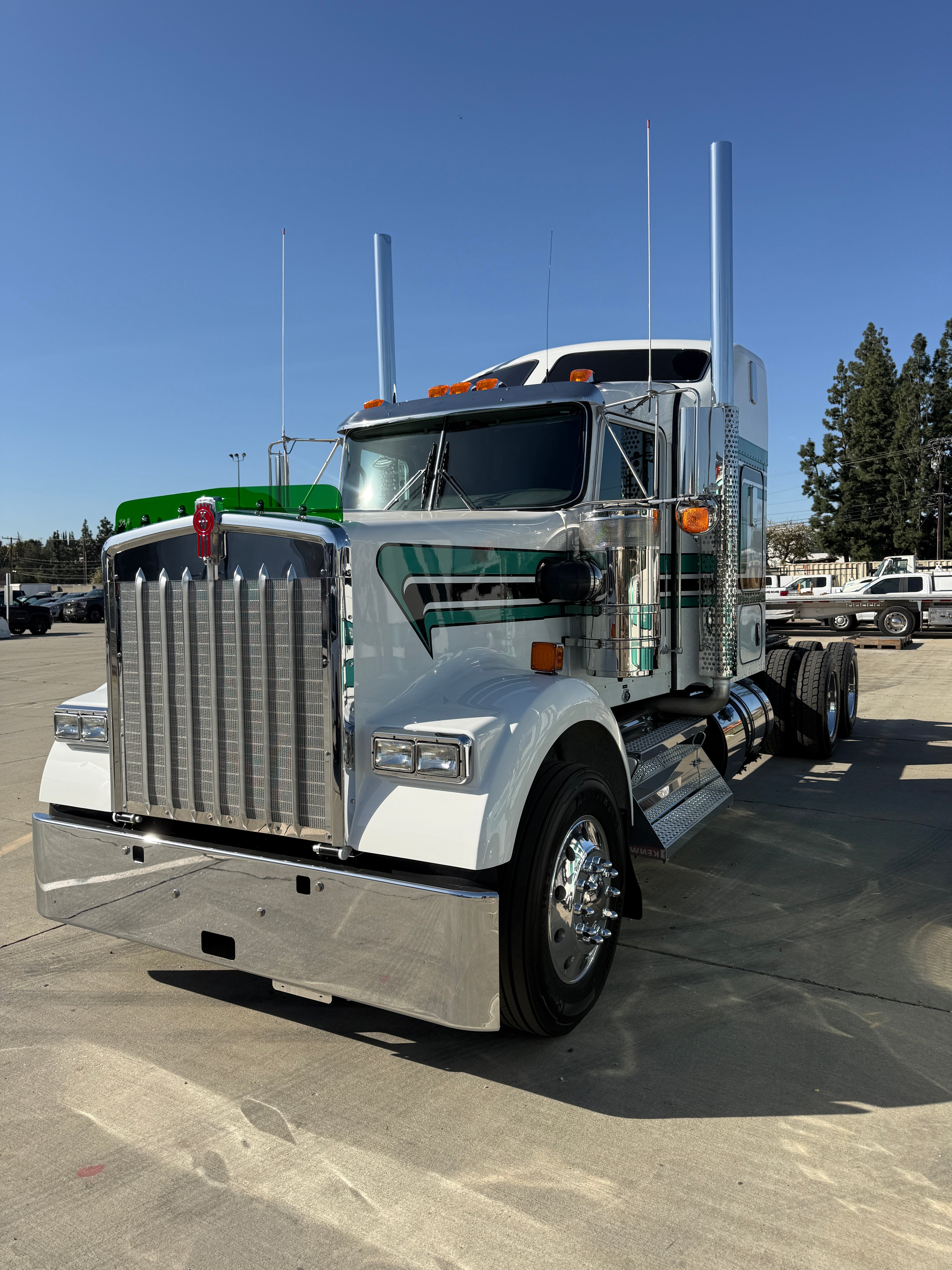 Kenworth W9B Bugshield
