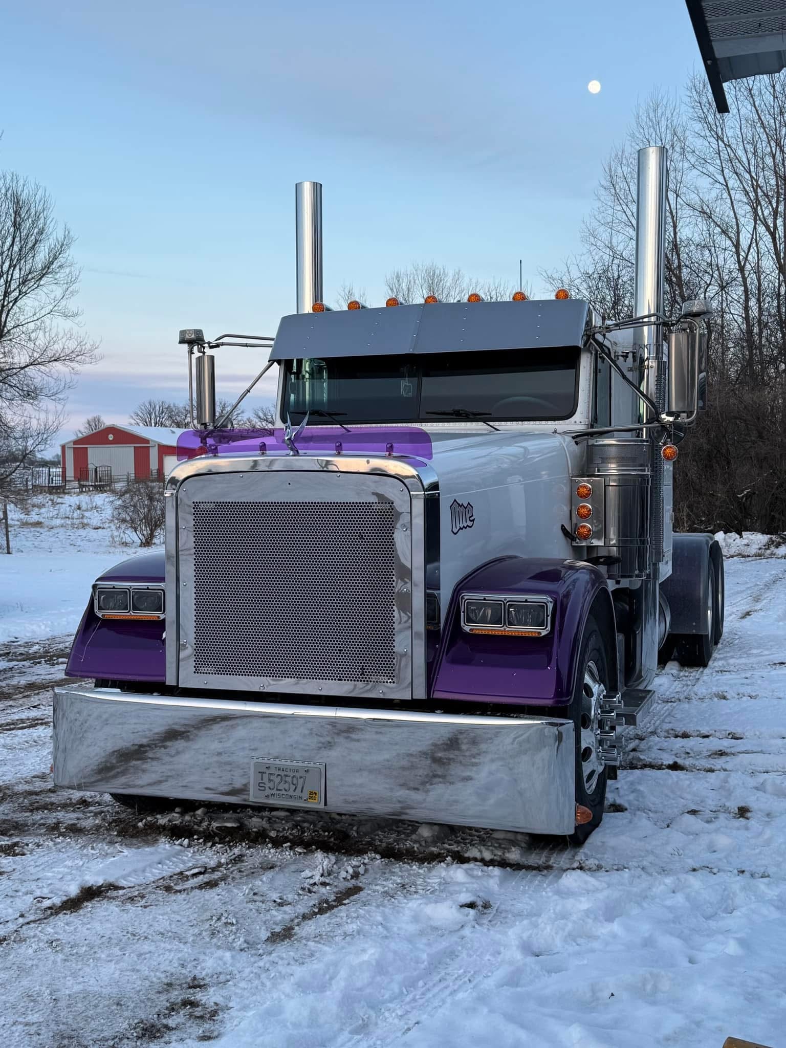 Freightliner Classic Bugshield