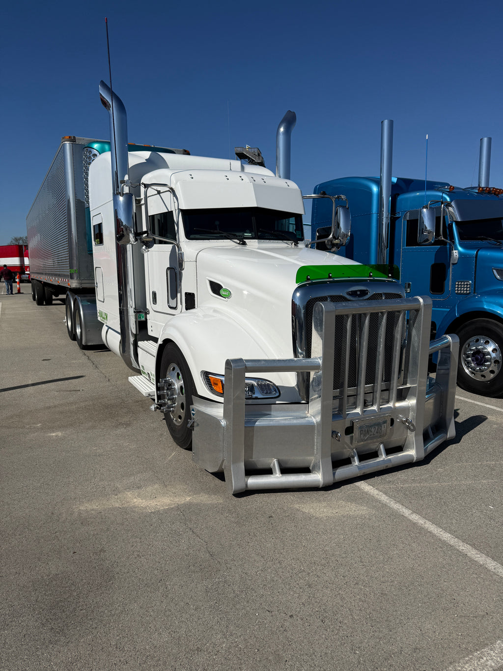 Peterbilt 384/386 Bugshield