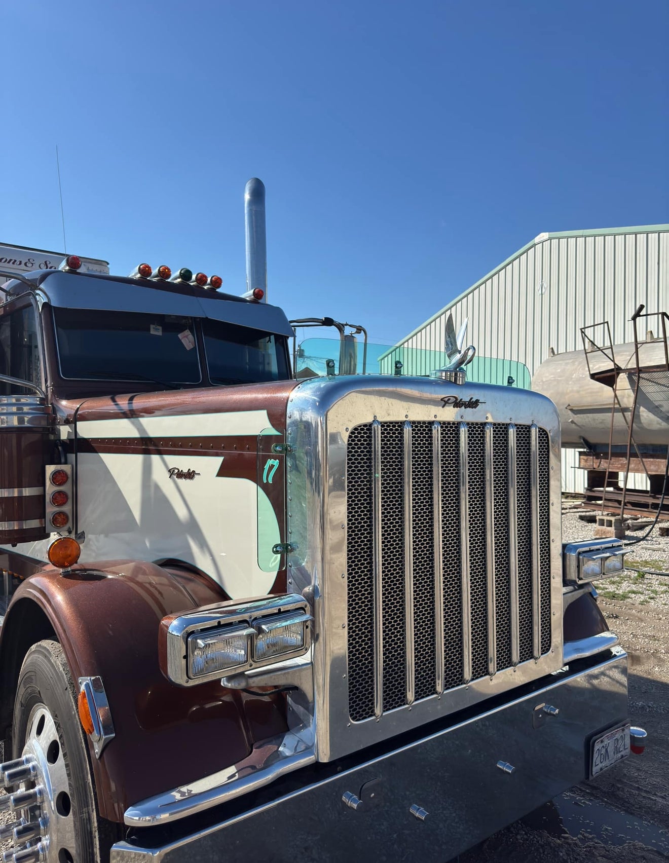 Peterbilt 389/388 Bug Shield