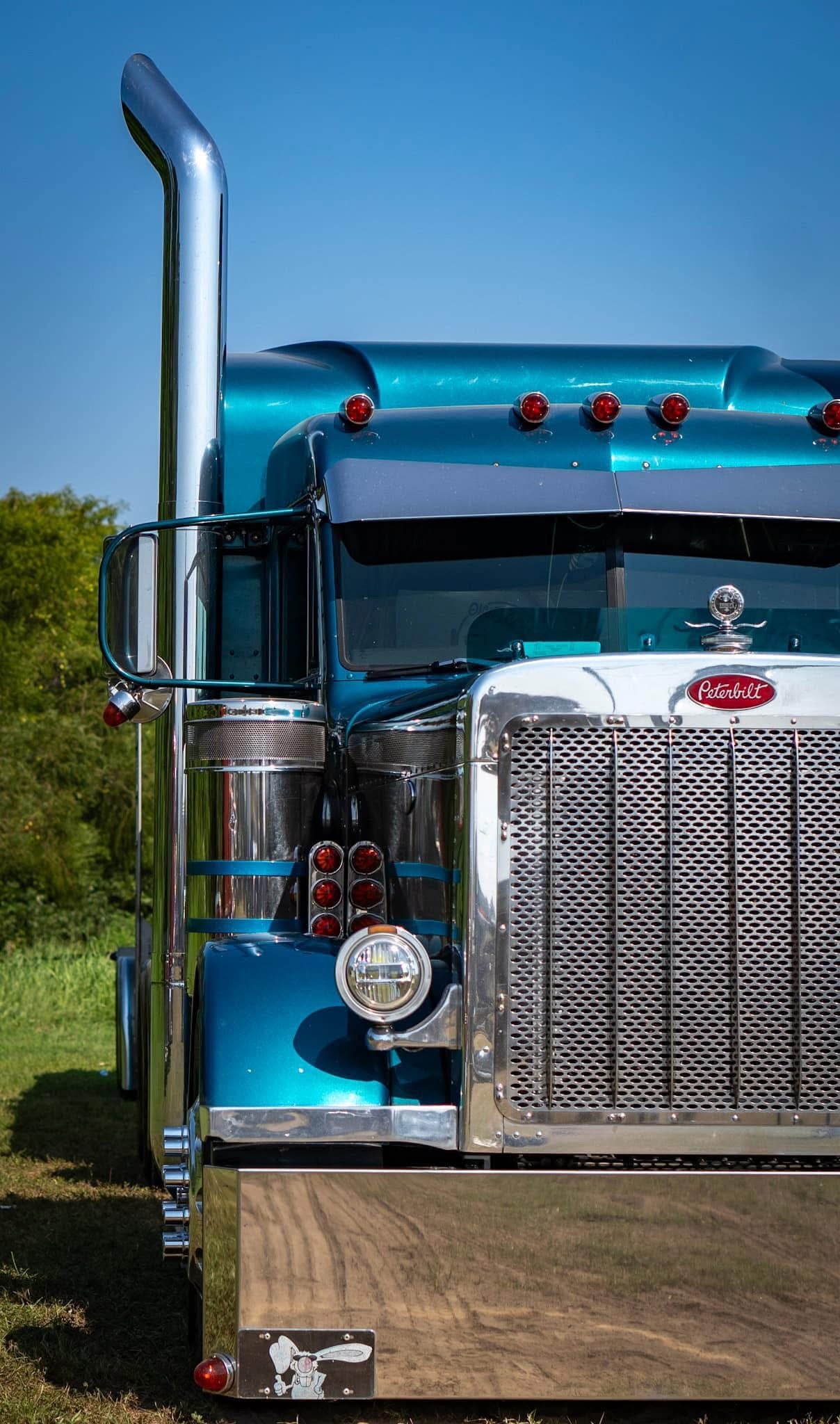 Peterbilt 379 Bugshield