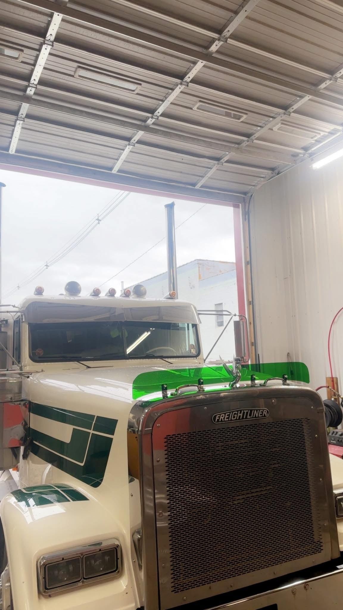Freightliner Classic Bugshield