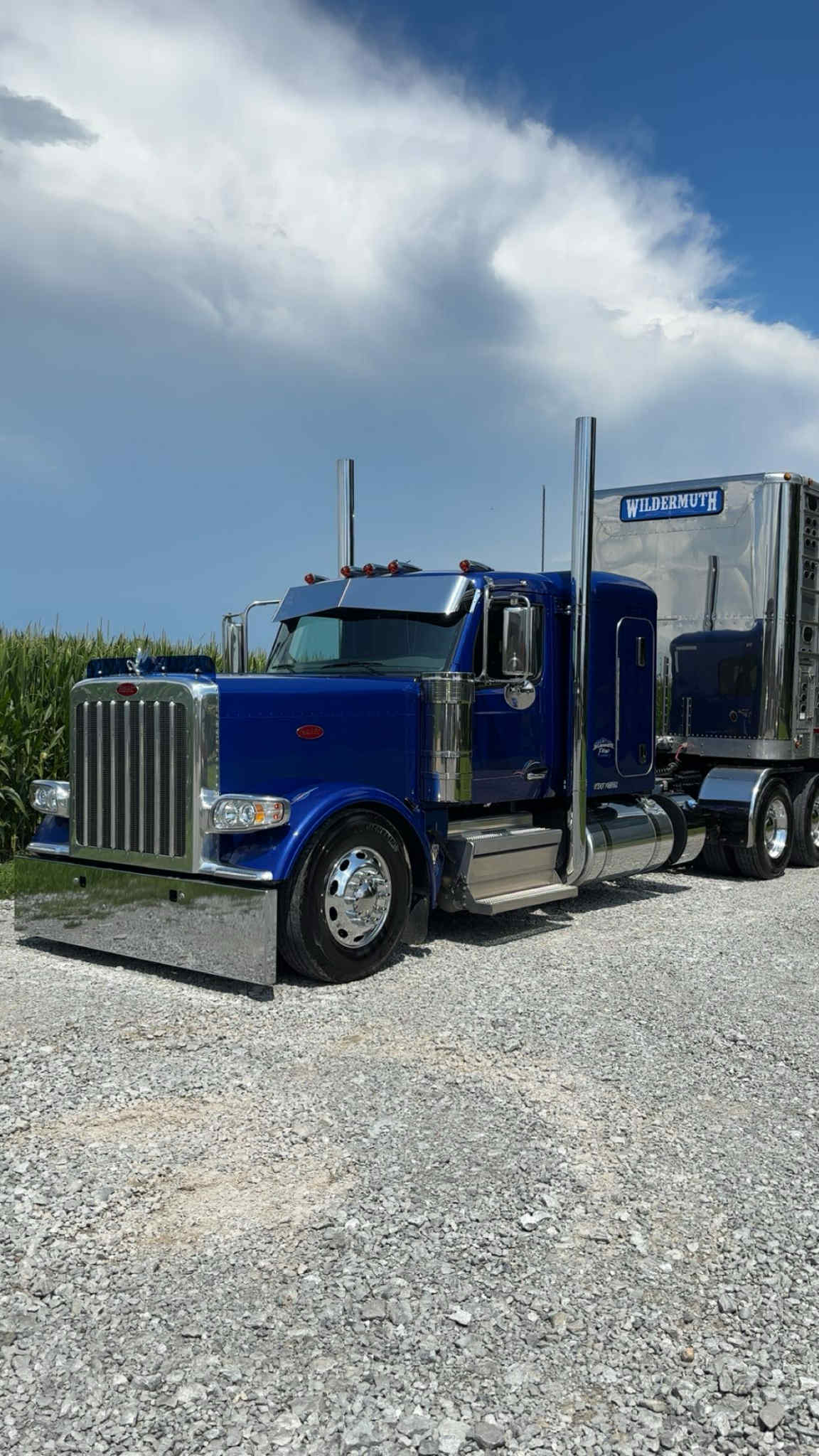 Peterbilt 589 Bugshield