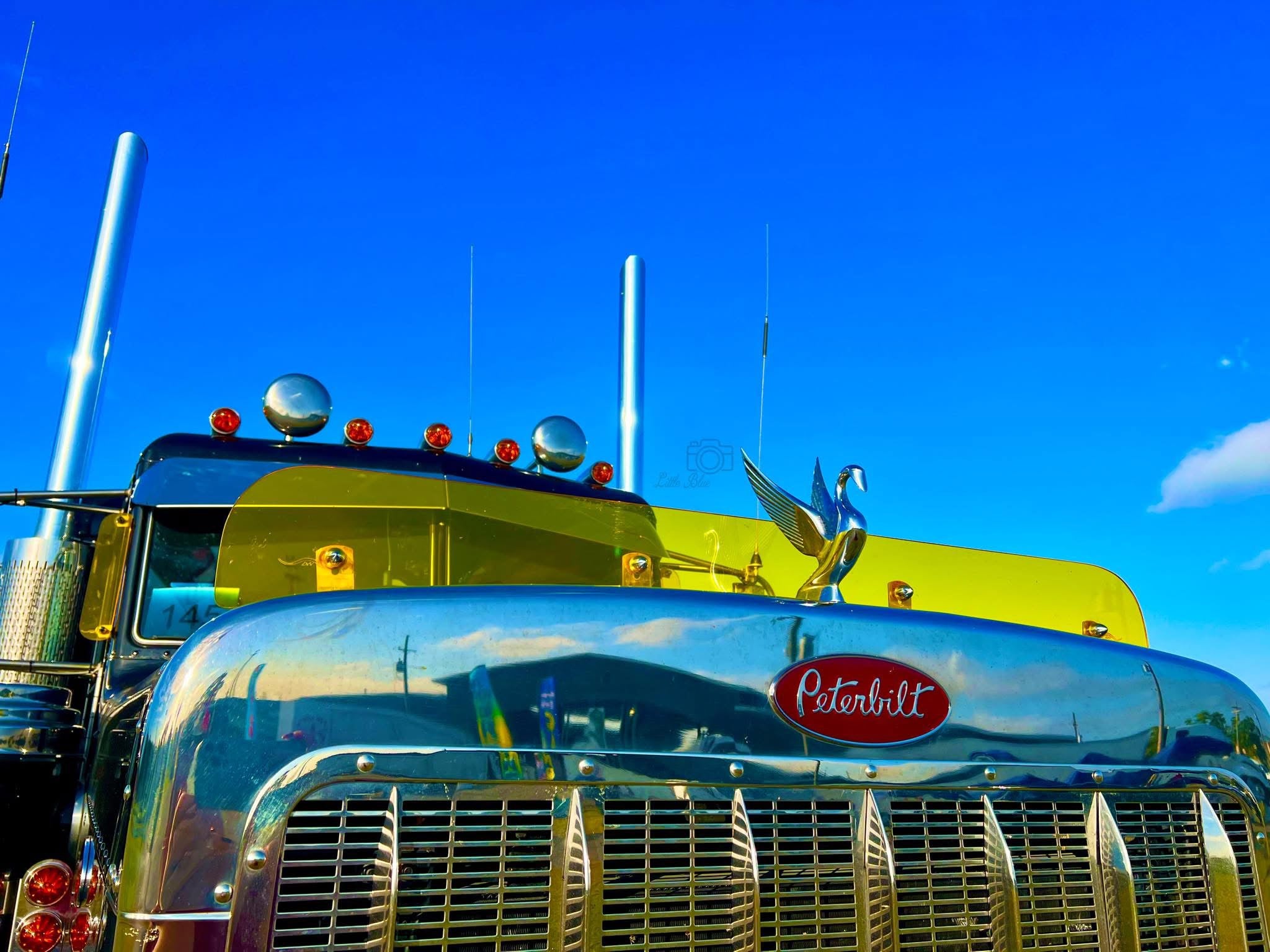 Peterbilt 379 Bugshield