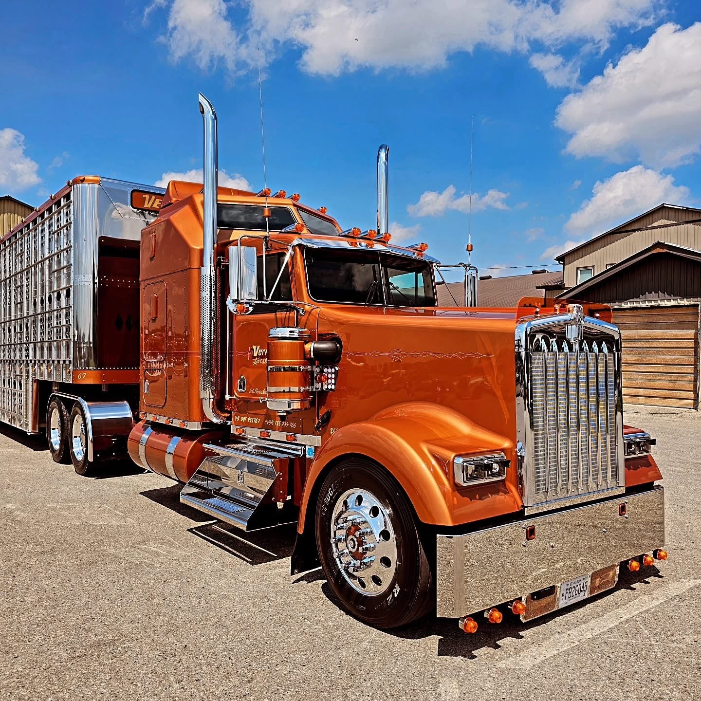 Kenworth W9L Bugshield