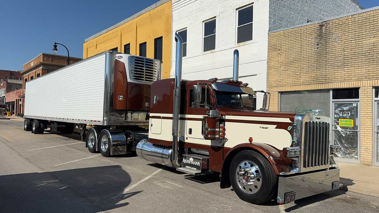 Peterbilt 389/388 Bug Shield