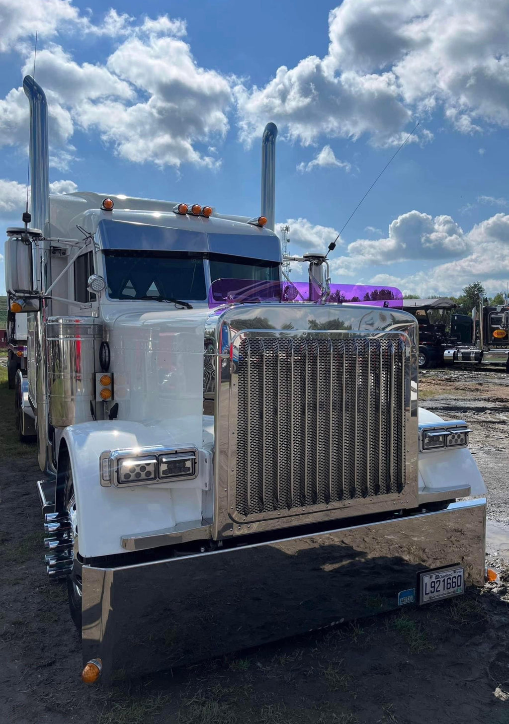 Peterbilt 379 Bugshield