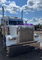 Peterbilt 379 Bugshield