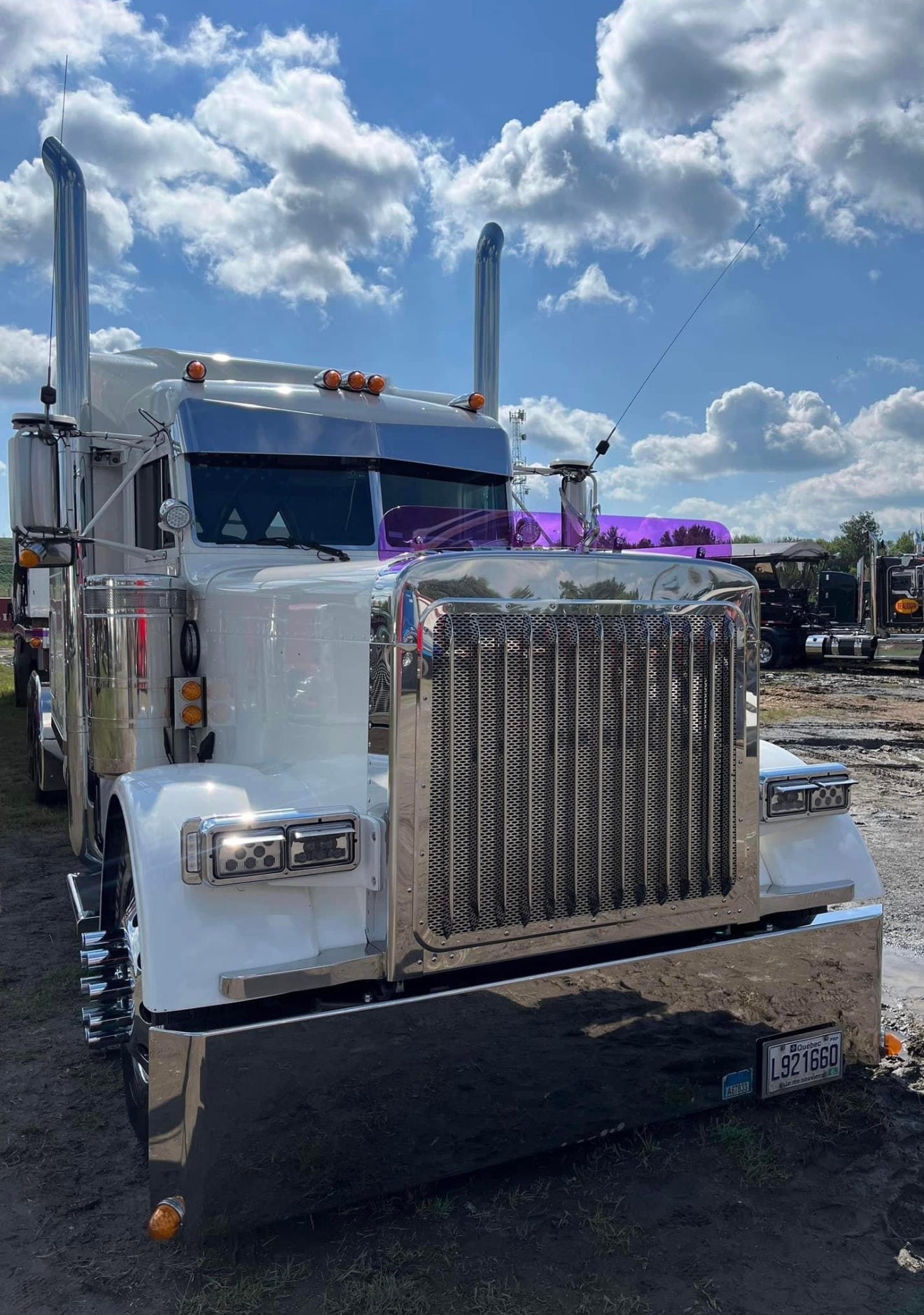 Peterbilt 379 Bugshield