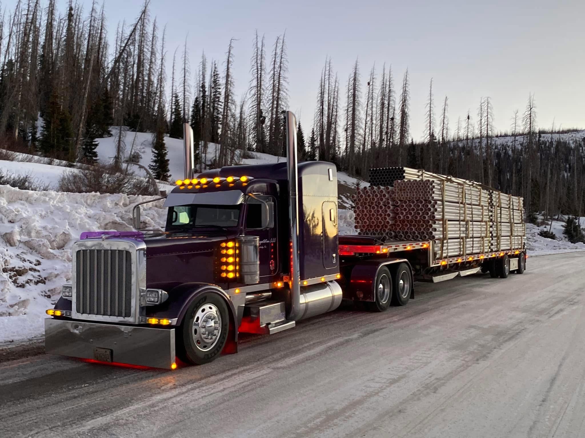 Peterbilt 389/388 Bug Shield