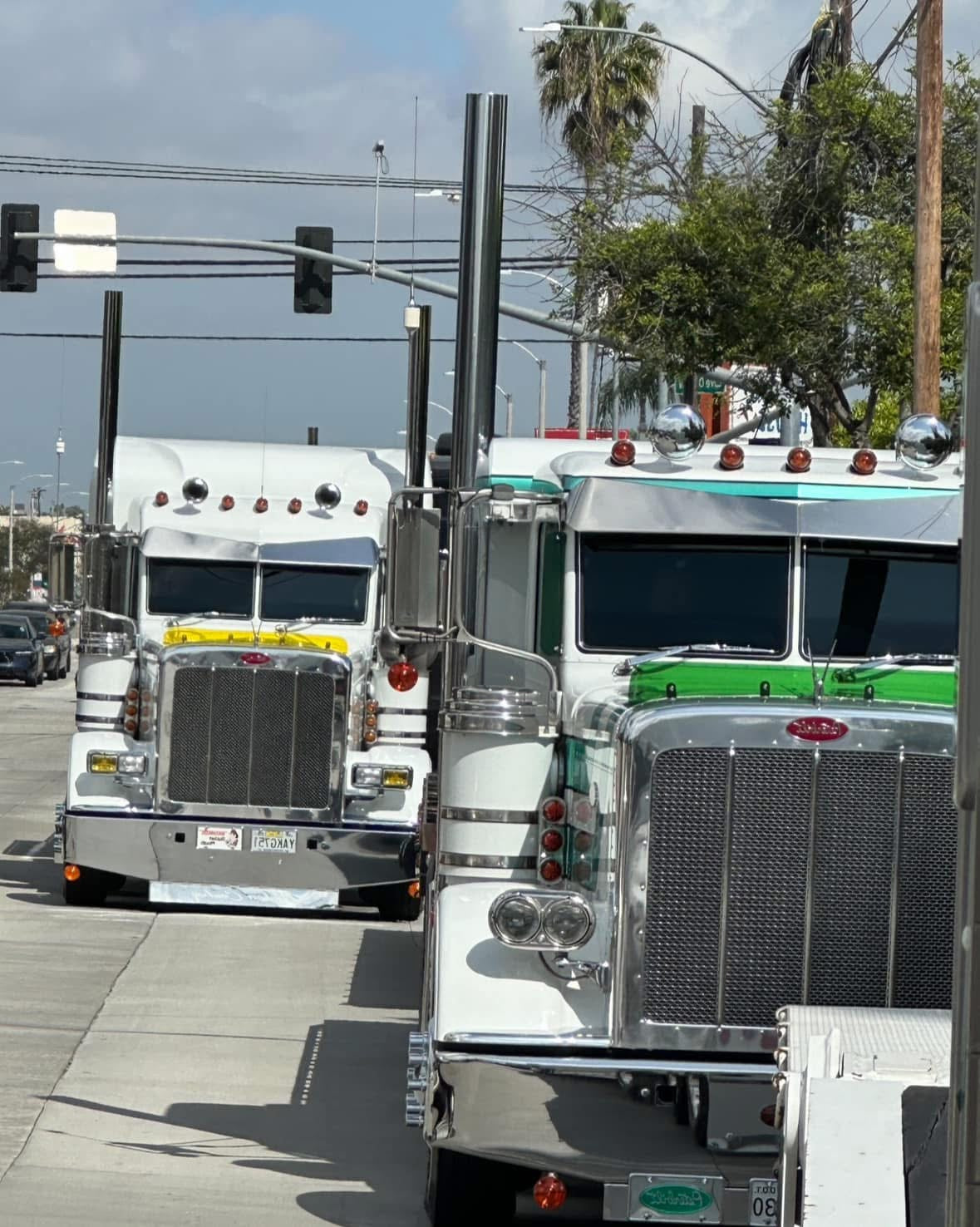 Peterbilt 389/388 Bug Shield