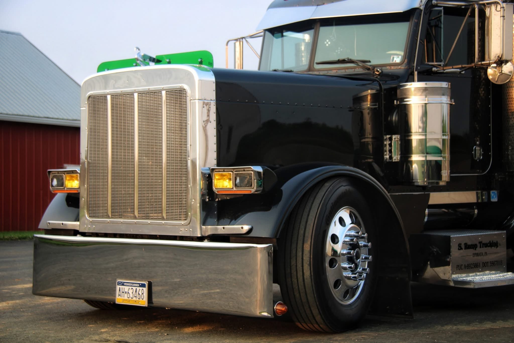 Peterbilt 379 Bugshield