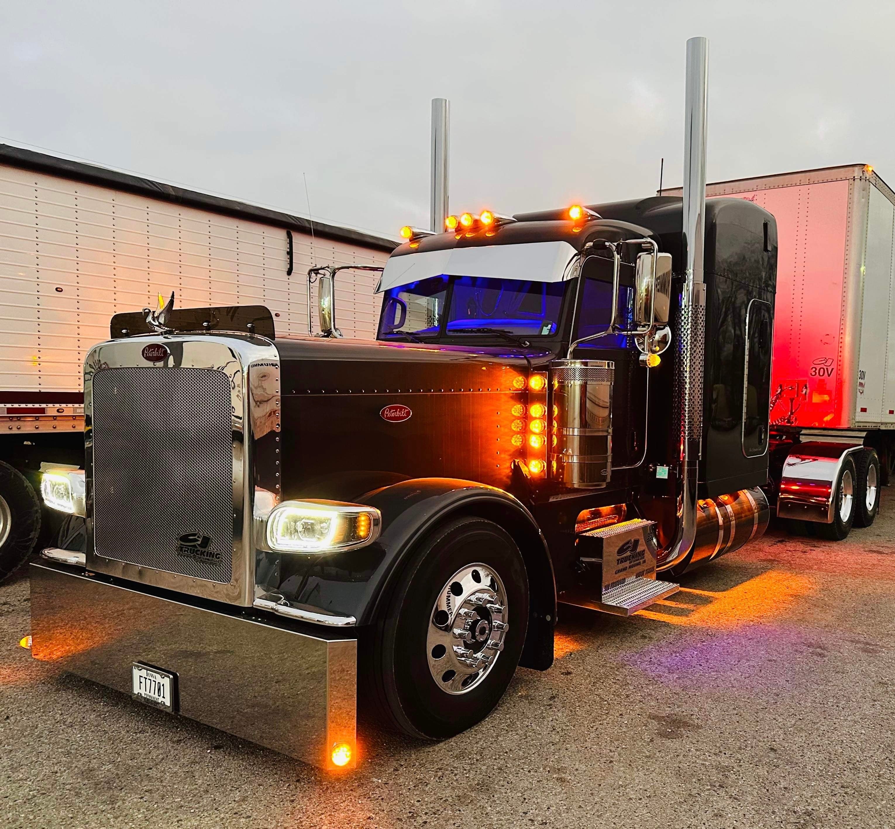 Peterbilt 389/388 Bug Shield