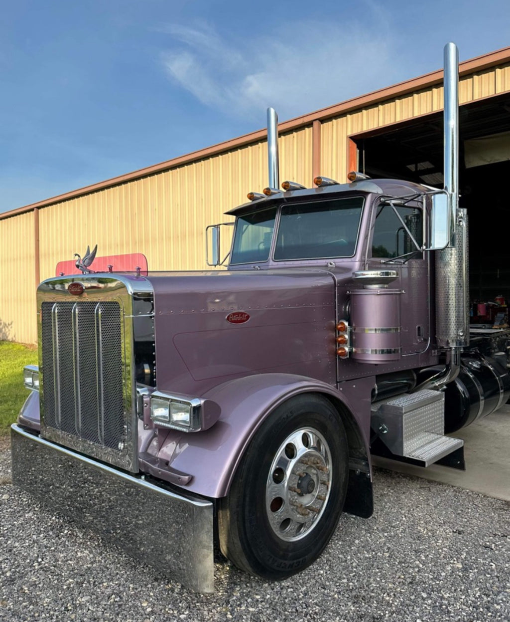 Peterbilt 379 Bugshield