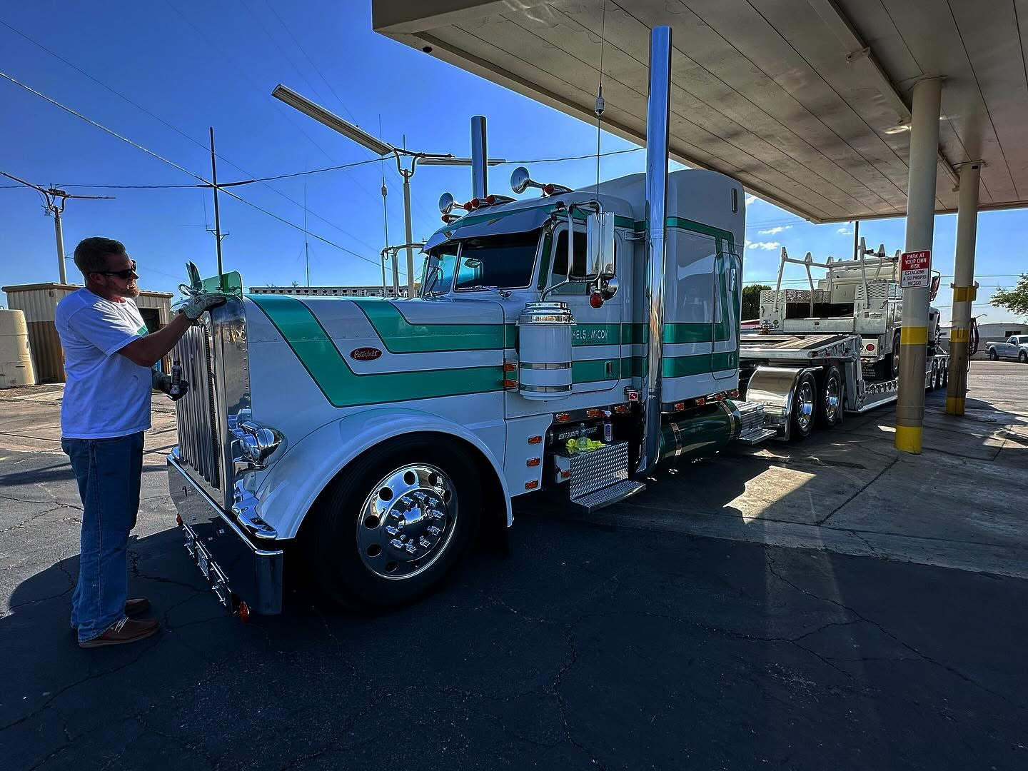 Peterbilt 389/388 Bug Shield
