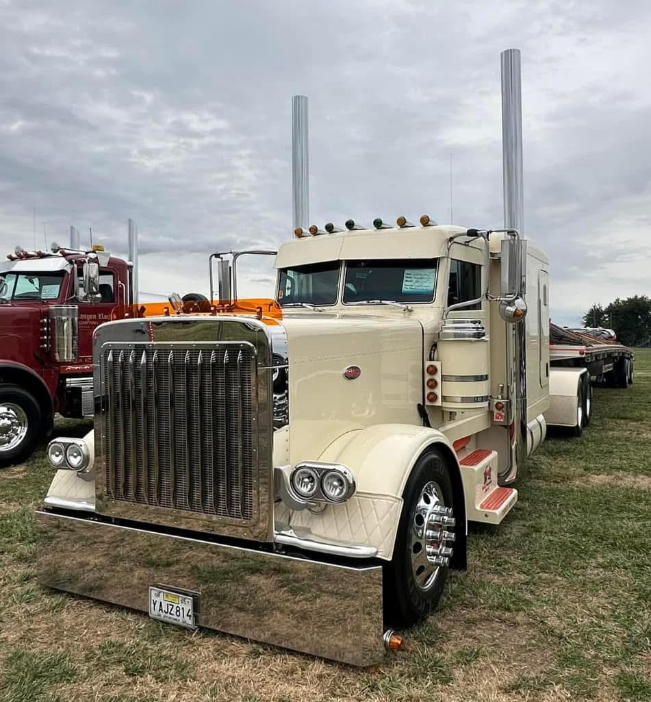 Peterbilt 389/388 Bug Shield